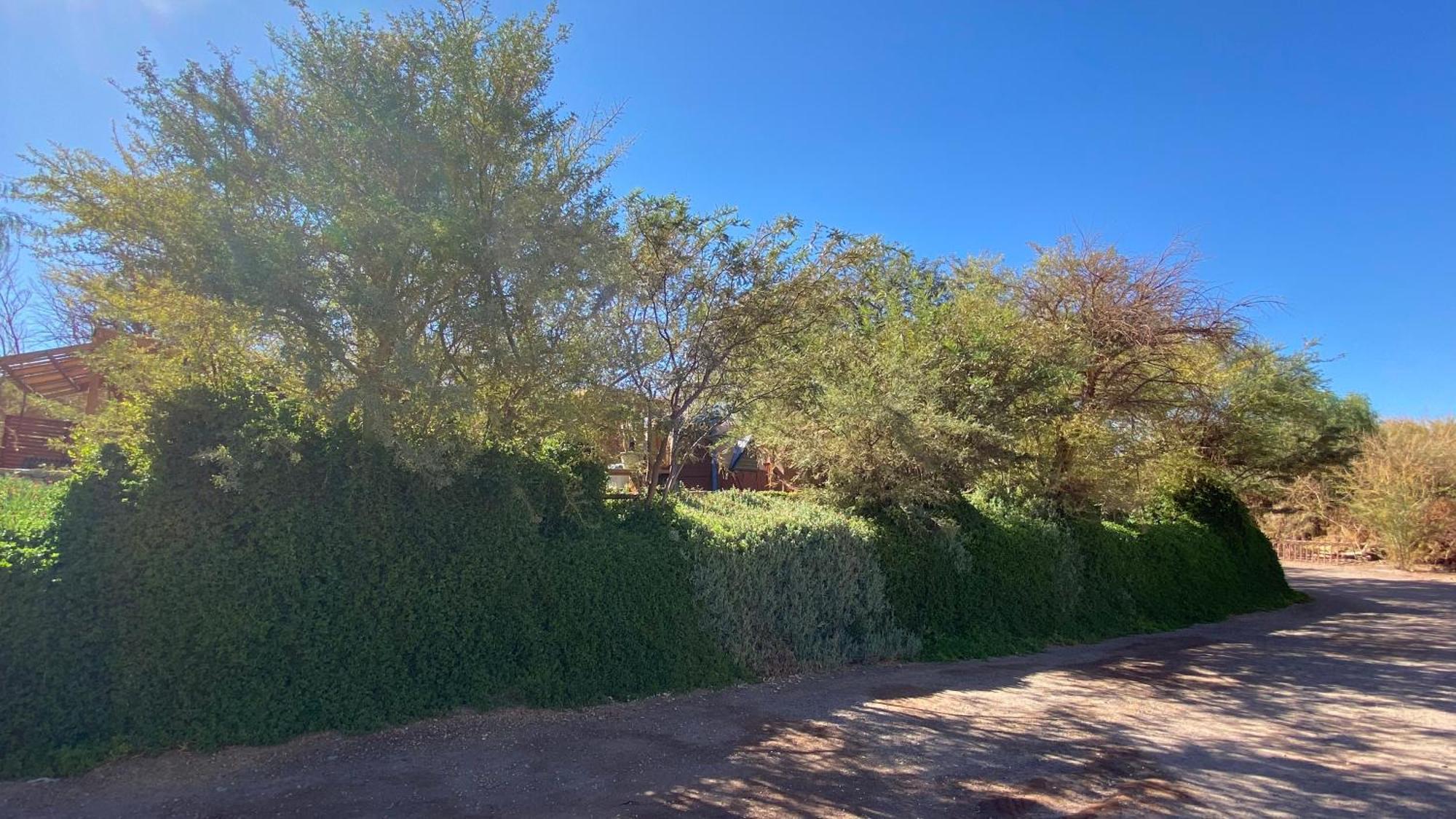 Villa San Pedro Domos San Pedro de Atacama Exterior foto